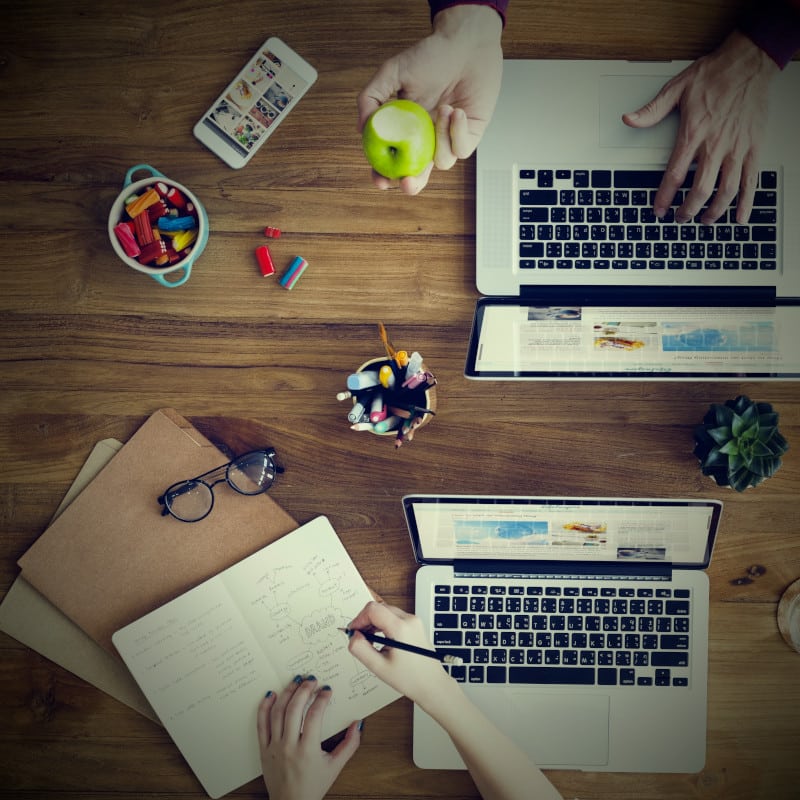 Analysing the purpose of the client's website