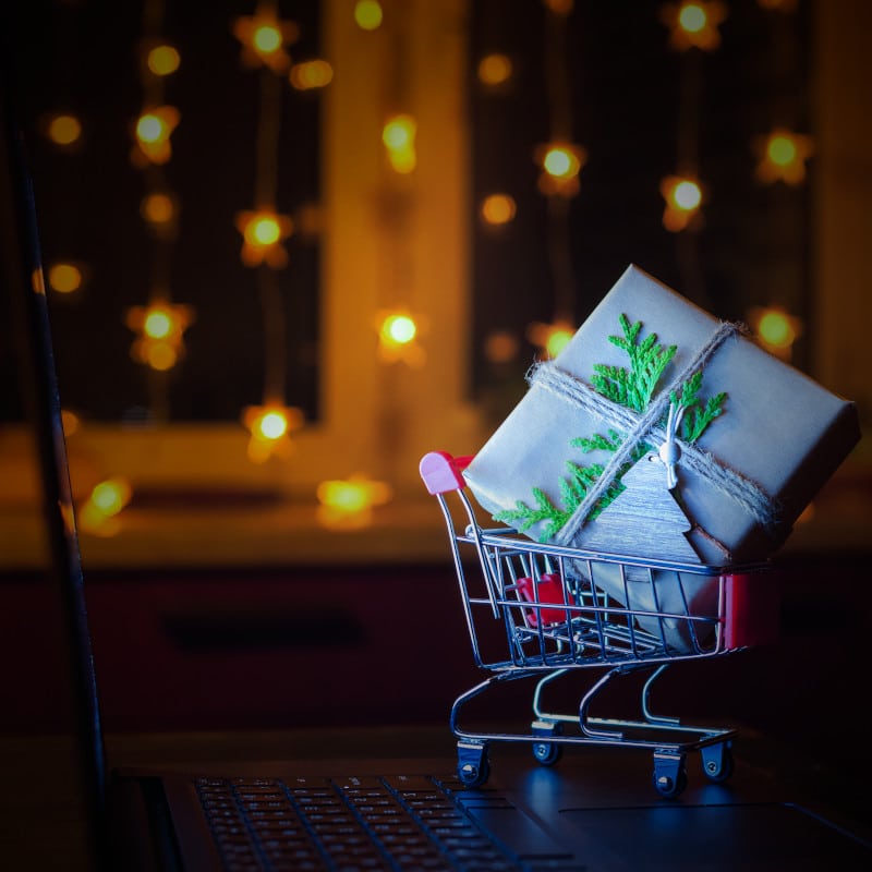 Get a WooCommerce e-commerce site from TheOneStopWeb.Shop