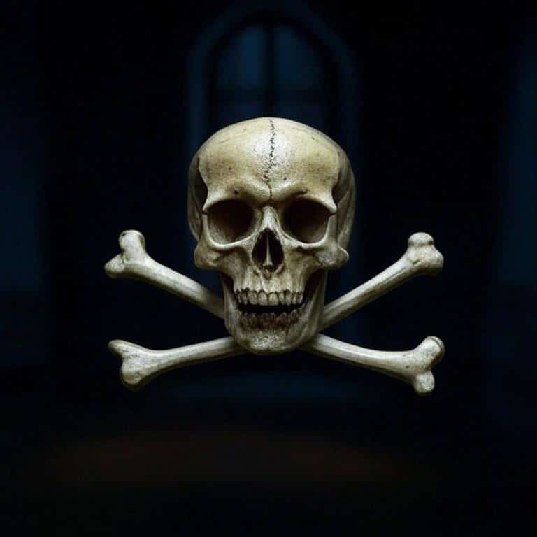 A skull and crossbones denoting a dead link