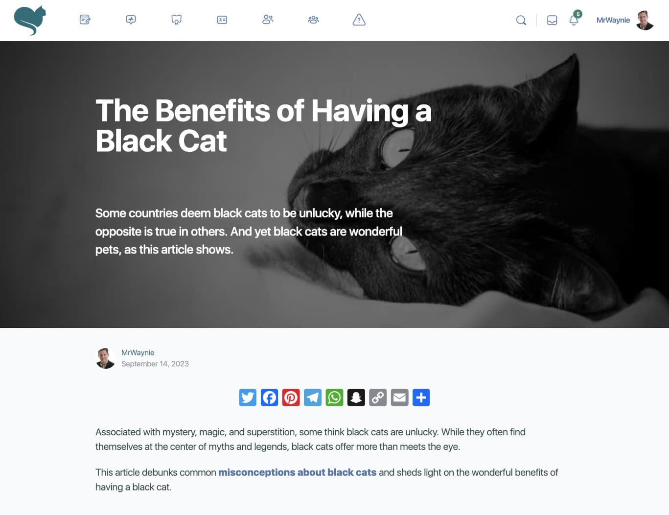 The web design for CatInfo.net's blog.
