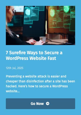Everything you need to know about securing your WordPress website.
